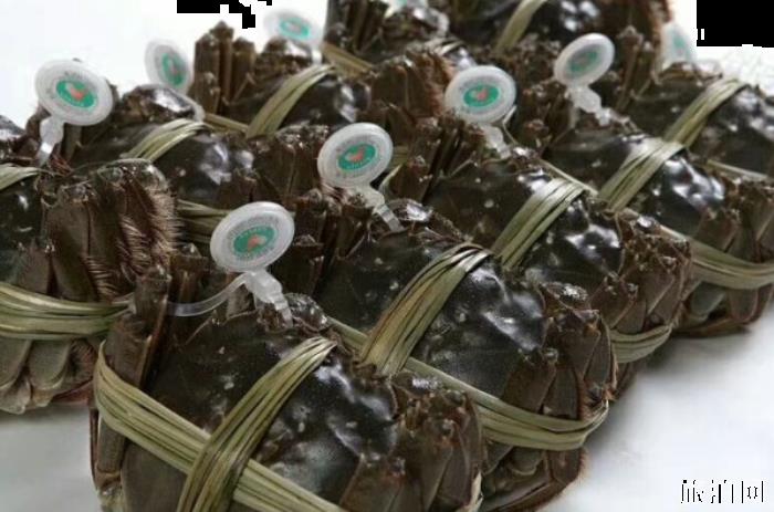 阳澄湖大闸蟹什么时候最好吃 阳澄湖大闸蟹怎么识别真假