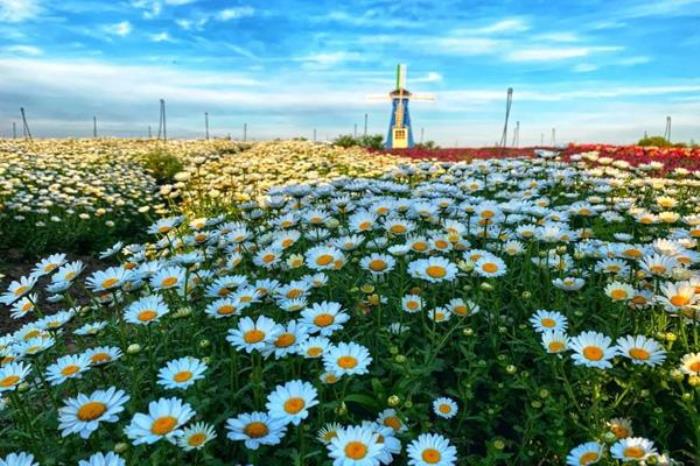 苏州太湖园博园在哪里 怎么去