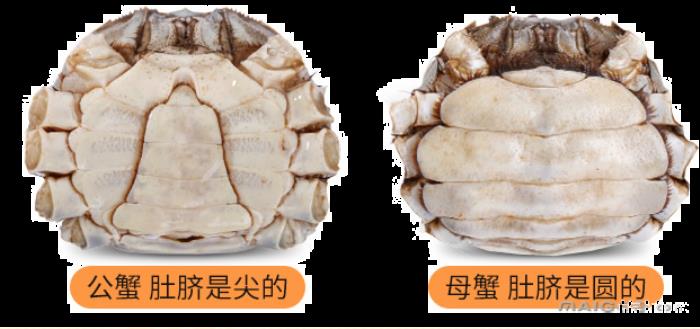 大闸蟹吃公的还是母的 大闸蟹公母都有蟹黄吗