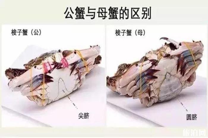 营口鲅鱼圈海鲜市场哪个好 附开海后海鲜价格 营口鲅鱼圈海鲜市场哪个好 附开海后海鲜价格