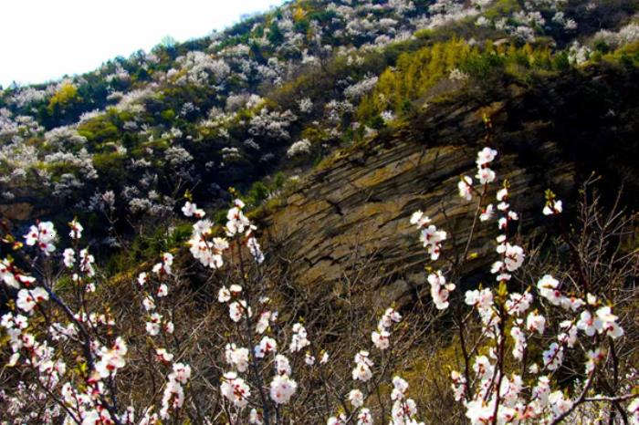 密云春季有哪些踏青赏花的地方