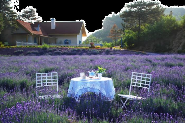 密云春季有哪些踏青赏花的地方