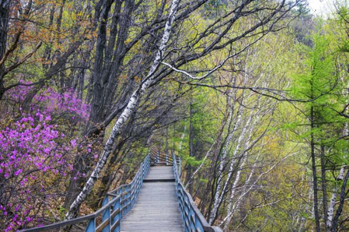 密云春季有哪些踏青赏花的地方