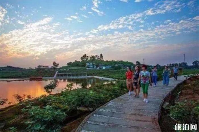 世界无花果博览园